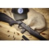 carabine 8117 17hmr